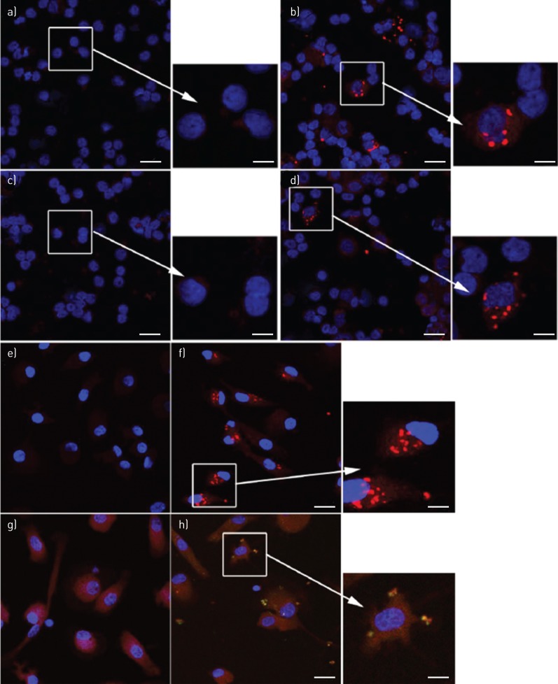 FIGURE 7