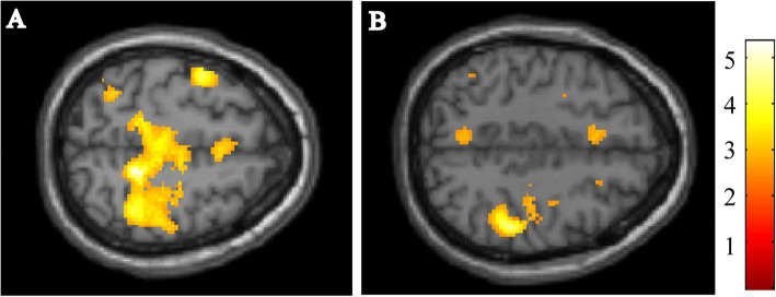 Fig. 5