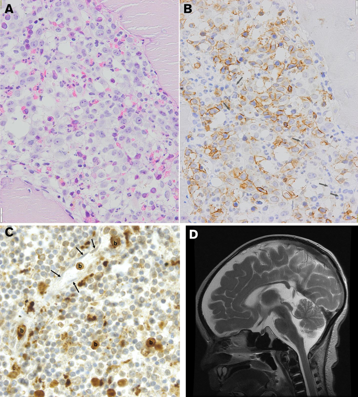 Figure 1