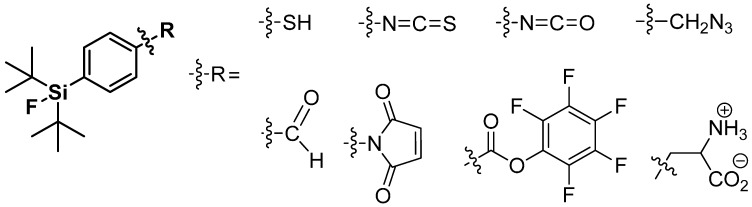 Scheme 20