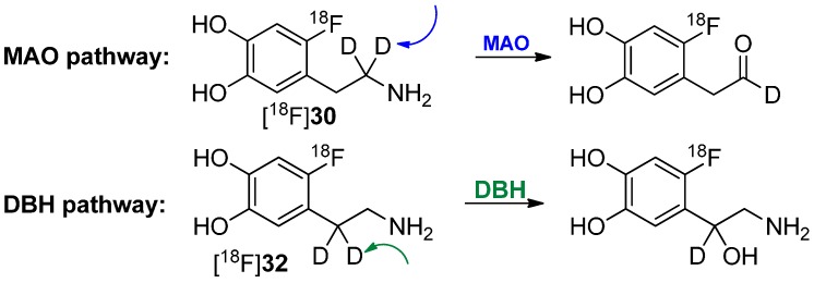 Scheme 9