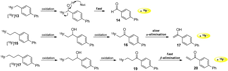 Scheme 5