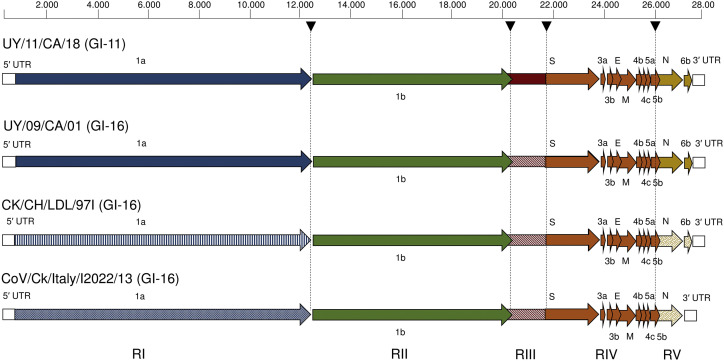 Fig. 2.