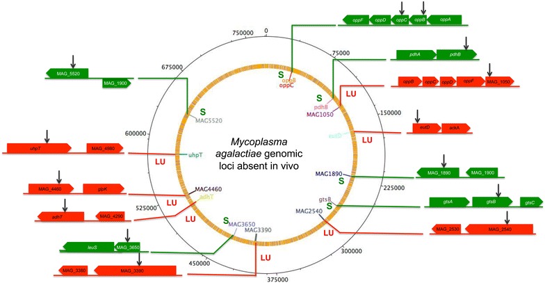 Figure 3