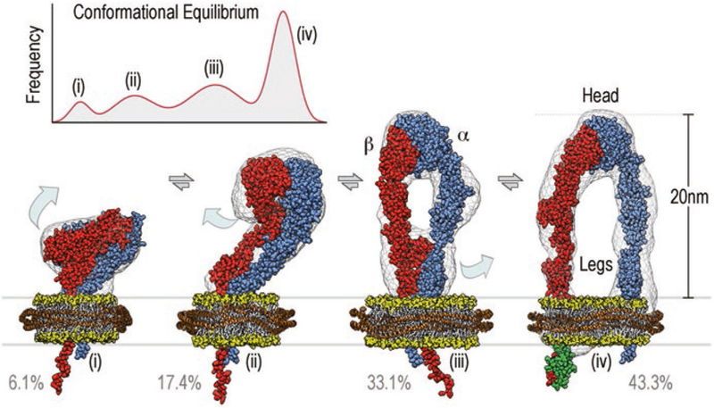 Fig. 12.1