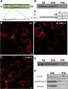 FIG 2