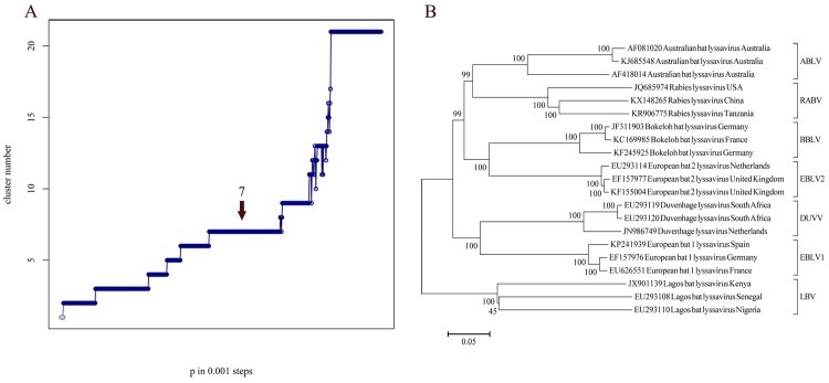 Fig 5