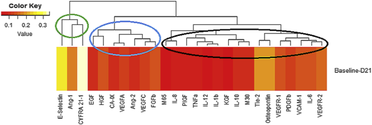 Supplemental Figure 6