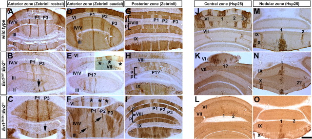 Figure 9.