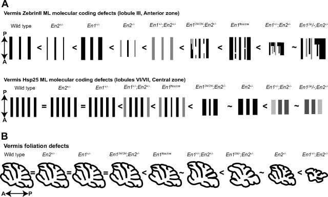 Figure 10.