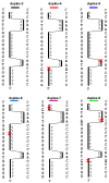 Scheme 6