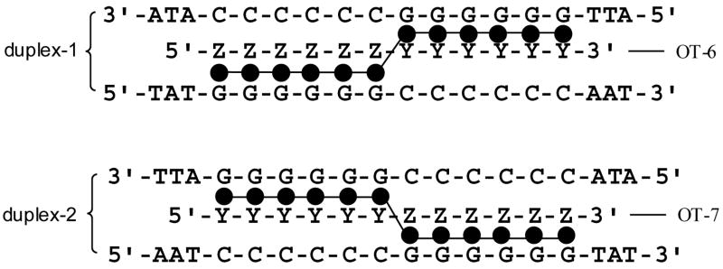 Scheme 5