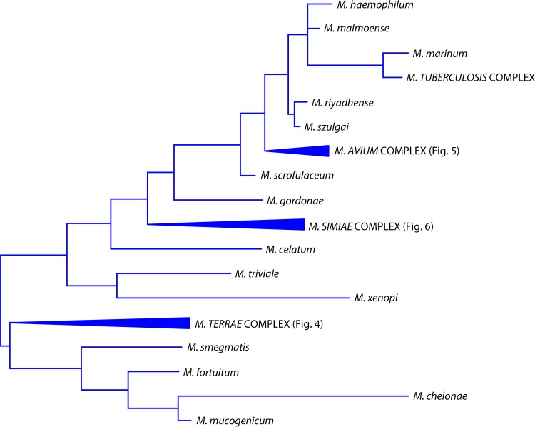 FIG 2