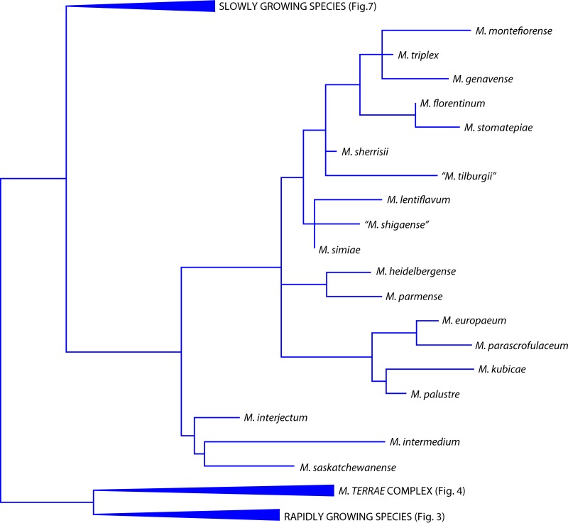 FIG 6