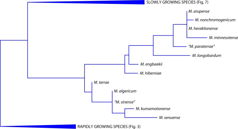 FIG 4