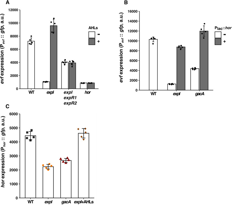 FIG 3