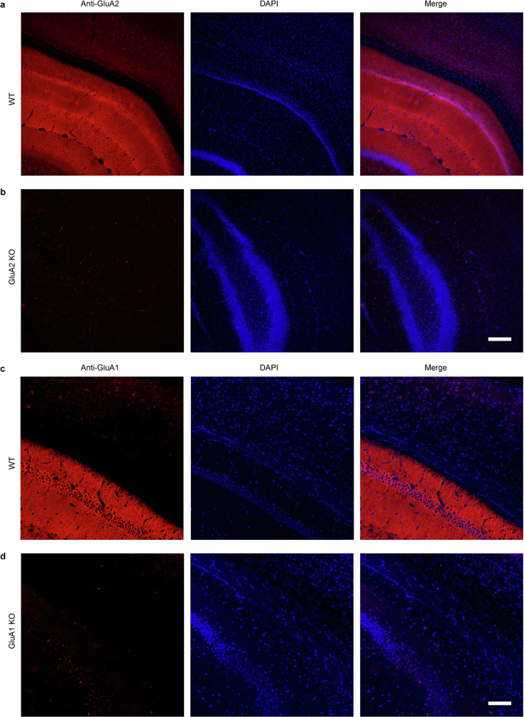 Extended Data Fig. 2