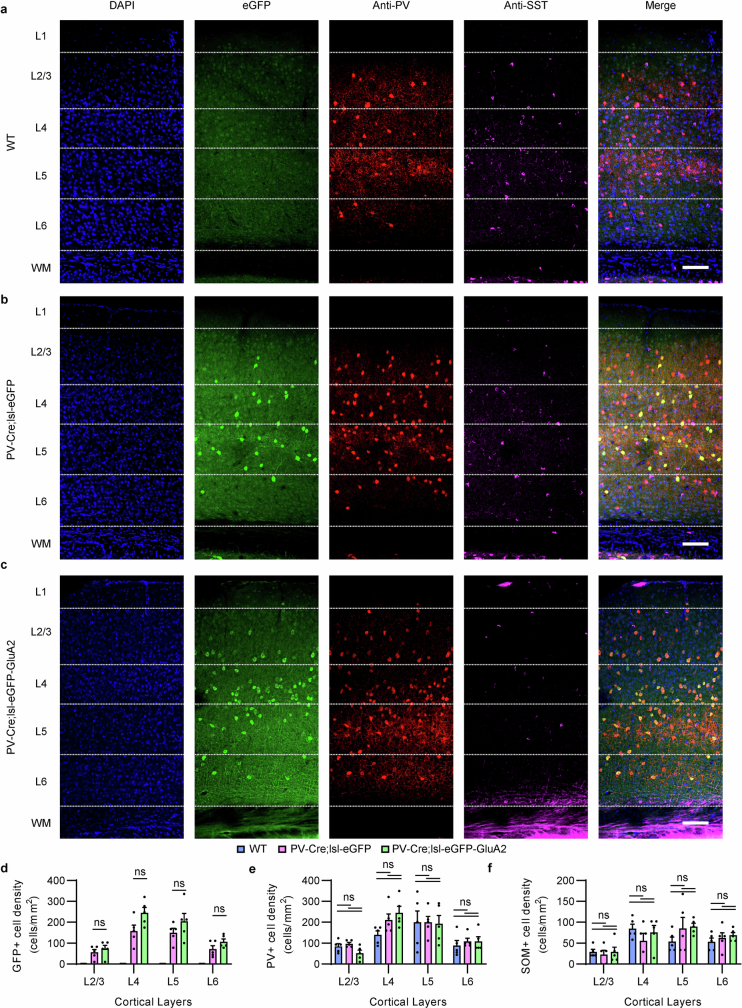 Extended Data Fig. 6