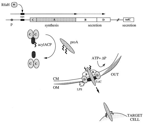 FIG. 1