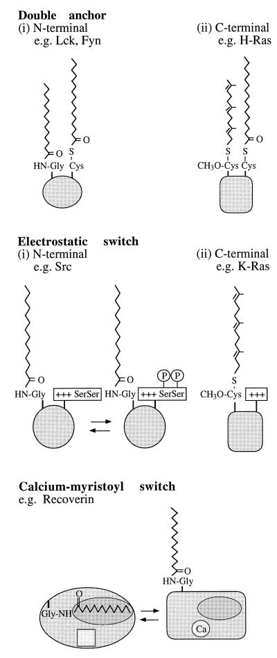 FIG. 6