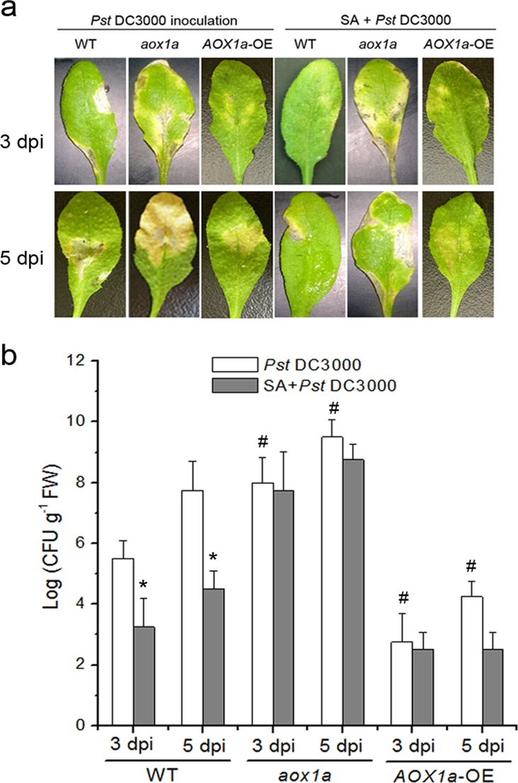 Fig 10