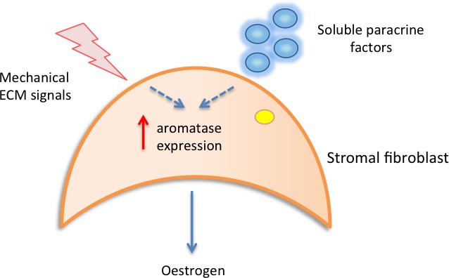 Figure 1a