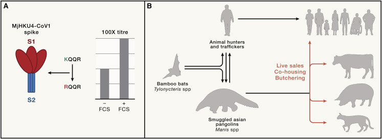 Figure 1