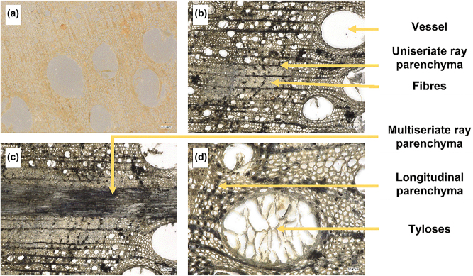 Figure 9: