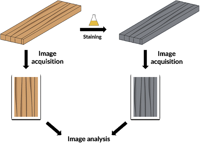 Figure 3: