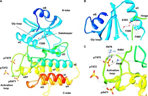 FIGURE 5.