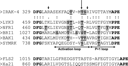 FIGURE 7.