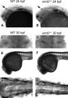 FIG. 4.