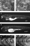 FIG. 5.