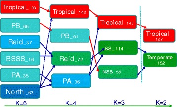 Fig. 10