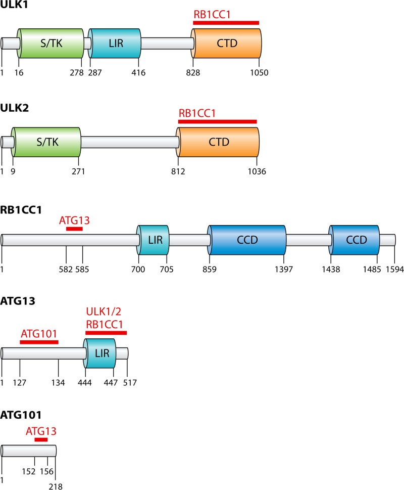 FIG 3