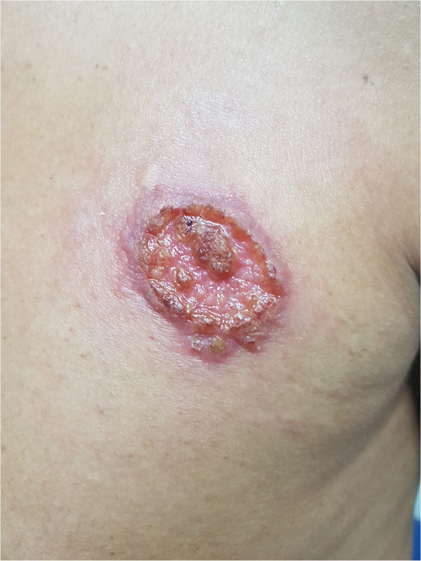 Fig. 4.