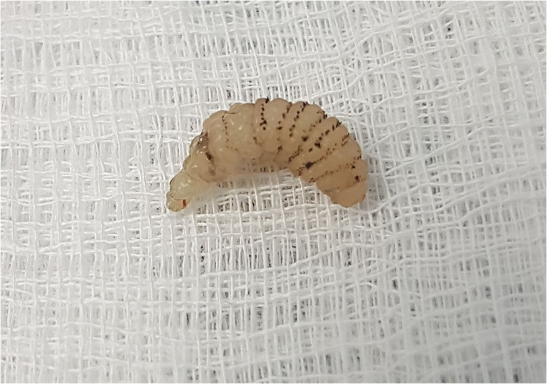 Fig. 9