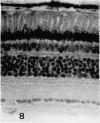 492-2