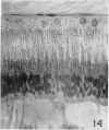 496-2