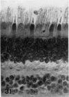 508-2
