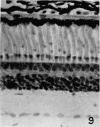 492-2