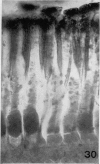 508-1