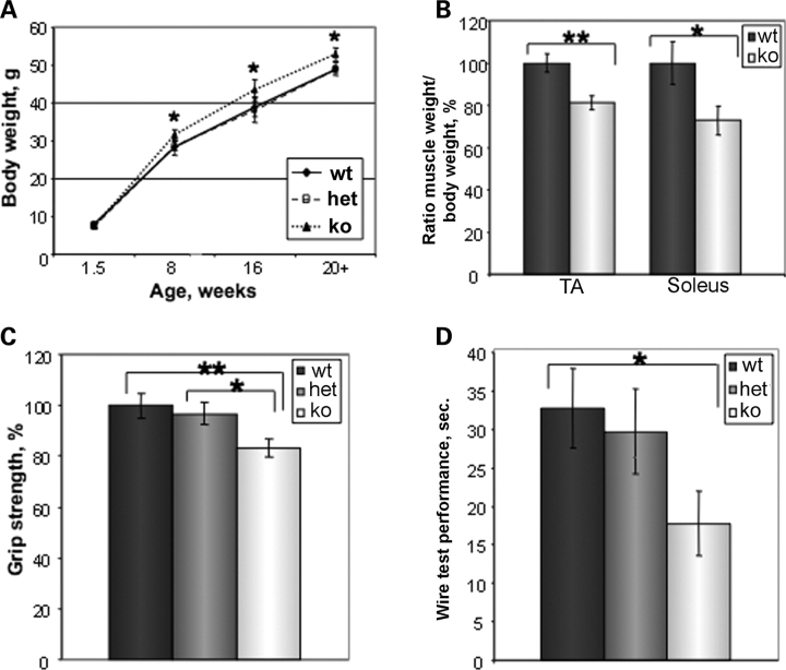 Figure 2.