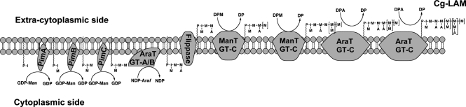 Fig. 6.