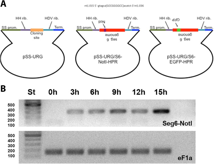 FIG 2