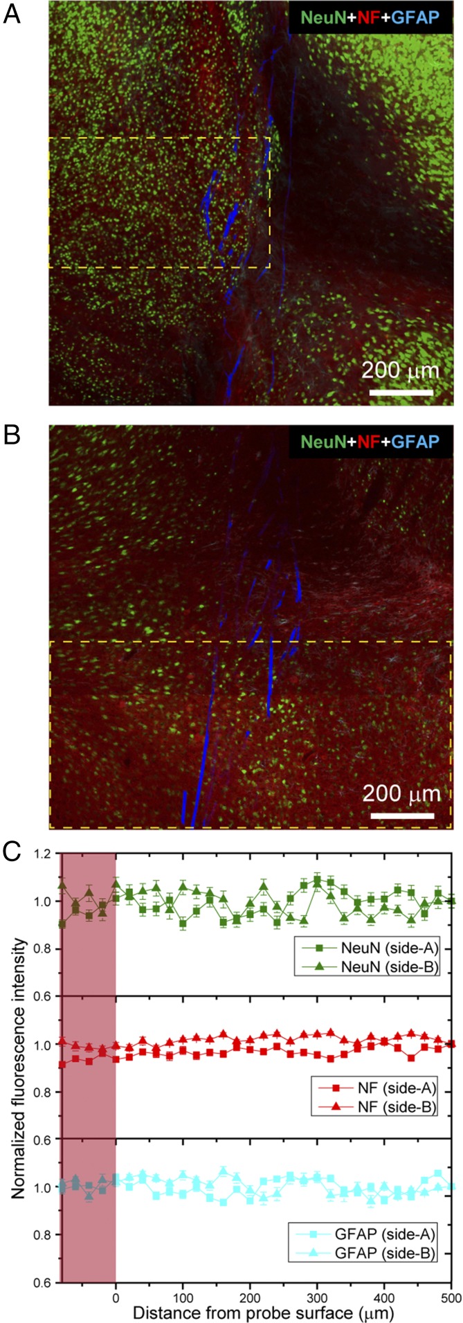 Fig. 4.