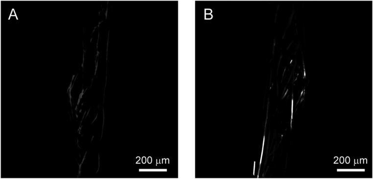 Fig. S5.