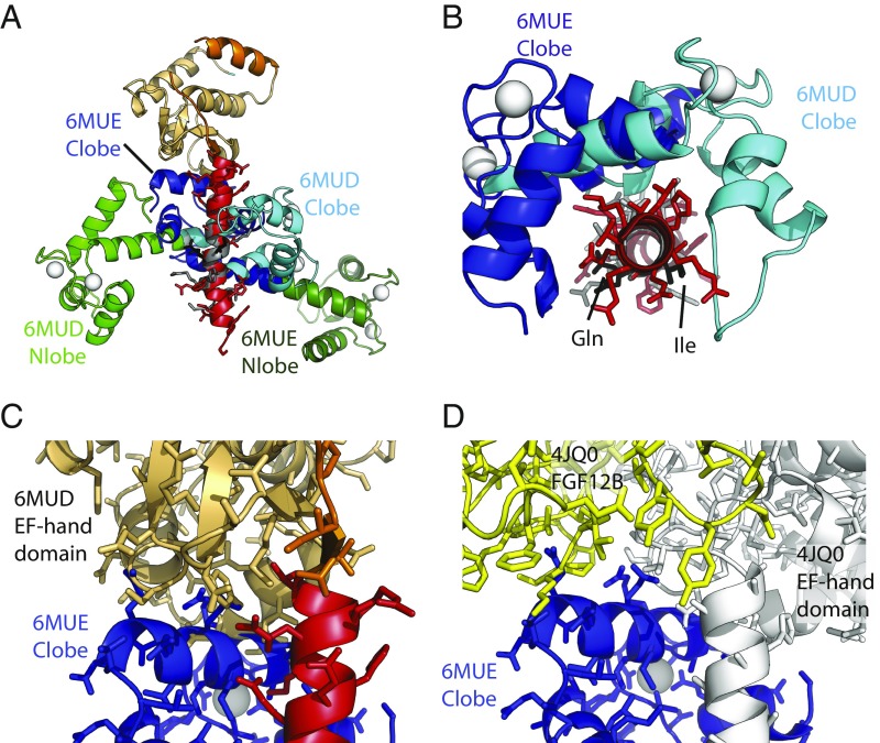 Fig. 7.