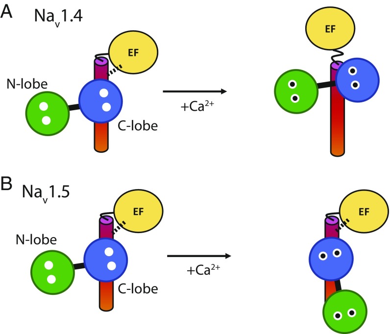 Fig. 8.