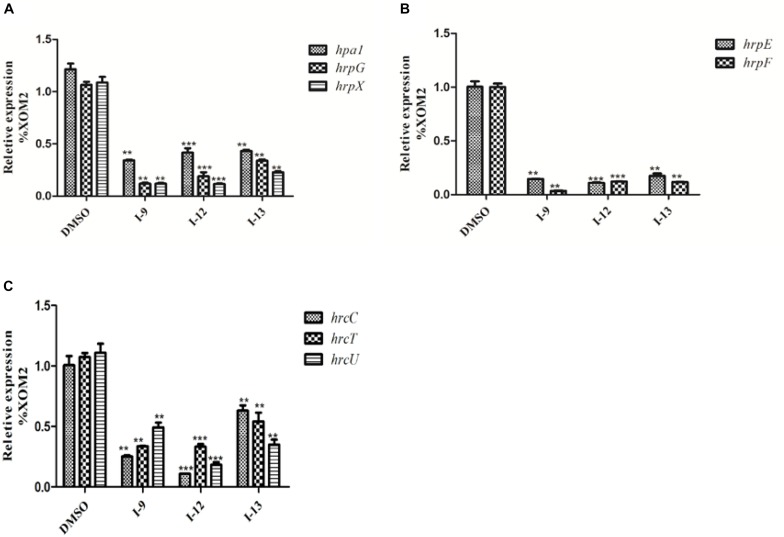 FIGURE 10